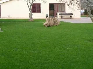 Bed & Breakfast Bonsai Santa Maria la Palma