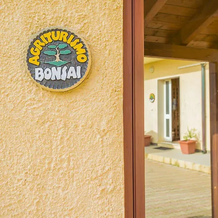 Bonsai